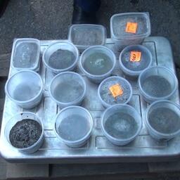 В руки правоохранителей попали 20 кг черной икры. Кадр оперативной съемки