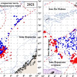 Распределение российских и иностранных судов на промысле скумбрии в августе 2021 и 2022 гг. Изображение предоставлено АтлантНИРО