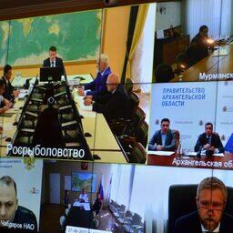 Вопросы взаимодействия по охране водных биоресурсов бассейна Печоры Росрыболовство обсудило с регионами. Фото пресс-службы ведомства