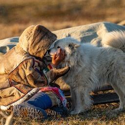 Юный представитель КМНС Ямала. Фото пресс-службы правительства ЯНАО. CC BY 4.0