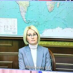 Вице-премьер Виктория АБРАМЧЕНКО участвовала в совещании с президентом по видеосвязи. Фото пресс-службы главы государства