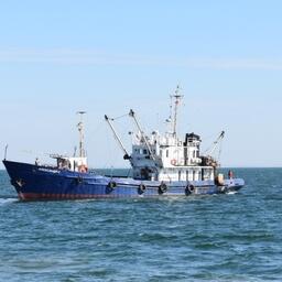 В Азовском море завершилась учетная съемка молоди хамсы и тюльки. Фото пресс-службы АзНИИРХ