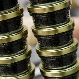 В эксперименте по маркировке икры примут участие две компании