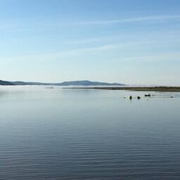 Осенью представители России и Китая обменяются данными о вылове осетровых и кеты в погранводах Амура