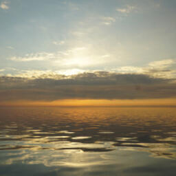 Специалисты Тюменского филиала ВНИРО приступили к оценке анадромной миграции сиговых видов рыб. Фото пресс-службы института