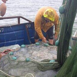 Разбор научного улова медуз и гребневиков. Фото пресс-службы АзНИИРХ