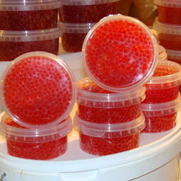 Эксперимент по регулированию перевозок красной икры стартует с 1 ноября на Камчатке