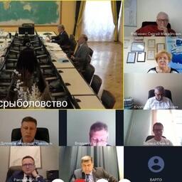 Ряд членов Общественного совета при Росрыболовстве участвовал в заседании по видеосвязи