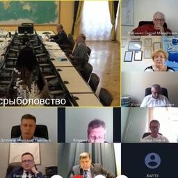 Ряд членов Общественного совета при Росрыболовстве участвовал в заседании по видеосвязи