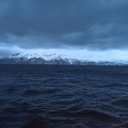 Экспедиция проводилась в водах Курильских островов и в Охотском море. Фото пресс-службы ТИНРО