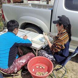 Специалисты СахНИРО промониторили состояние популяций моллюсков в заливе Анива. Фото пресс-службы филиала