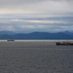 Нужен ли рыбной отрасли порог освоения квот?