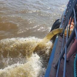 Завершающие работы по выпуску провели 15 июля. Фото пресс-службы Главрыбвода