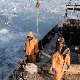 Зимний рыбный промысел у берегов Сахалина