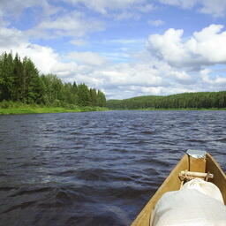 Река Мезень. Фото Антона Никифорова. CC BY 3.0