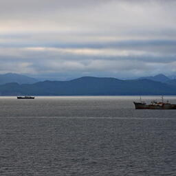 Нужен ли рыбной отрасли порог освоения квот?