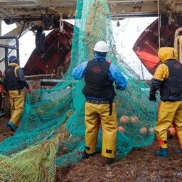 Соглашение, которое планируется заключить на 2022–2023 гг., установит общие принципы регулирования взаимоотношений работодателей и работников предприятий рыбной отрасли. Фото предоставлено АТФ