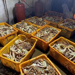 В руки силовиков попало около 500 кг краба. Фото пресс-службы Погрануправления ФСБ России по Приморскому краю