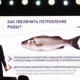 Основные факторы, влияющие на потребление рыбы, обсудили участники Рыбного симпозиума в Москве