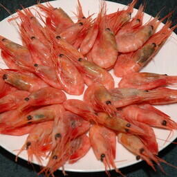 Российская креветка прошла «черепашью» сертификацию США