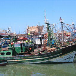 Рыболовецкие суда в порту Эс-Сувейра, Марокко. Фото Daniel*D. CC BY-SA 3.0