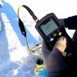 Специалисты ВНИРО завершили третий этап исследований в Сургутском районе Ханты-Мансийского автономного округа — Югры. Фото пресс-службы института