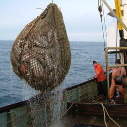 Заявление на выдачу разрешения на вылов теперь можно оформить на портале госуслуг