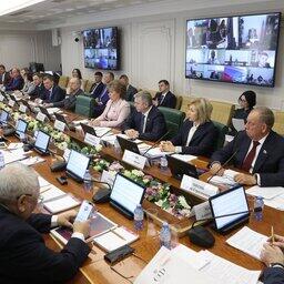 Расширенное заседание профильного комитета Совета Федерации. Фото пресс-службы СФ