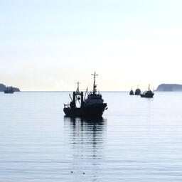 Территориальные управления Росрыболовства открыли прием заявлений о выборе вида рыболовства на 2023 г. 