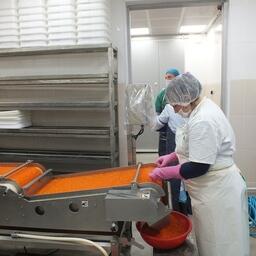  Контроль качества икры на рыбозаводе Кунашира