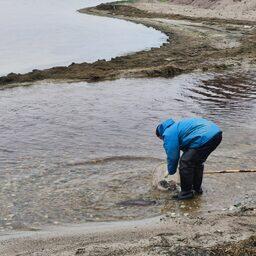 16 производителей отловили по специальному разрешению. Фото пресс-службы Главрыбвода