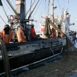 Одно из оснований для вычета — работа в режиме прибрежного рыболовства