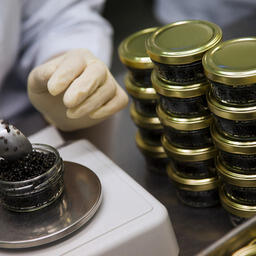 Великобритания планирует запретить ввоз российской икры