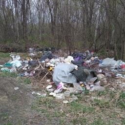 Стихийная помойка в лесу