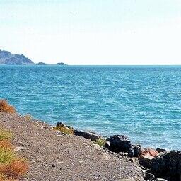 Побережье Каспийского моря в Туркмении. Фото Doron («Википедия»). CC BY-SA 3.0