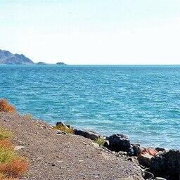 Побережье Каспийского моря в Туркмении. Фото Doron («Википедия»). CC BY-SA 3.0