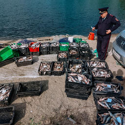 Ущерб превысил 5,5 млн рублей. Фото пресс-службы Нижнеобского теруправления Росрыболовства