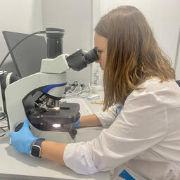 Молодые специалисты изучают иммунитет двустворчатых моллюсков. Фото пресс-службы ИнБЮМ
