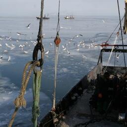 Рыбный промысел у берегов Сахалина