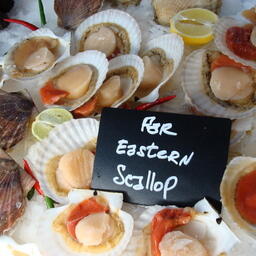Морепродукты из России на брюссельской выставке Seafood Expo Global в 2018 г.