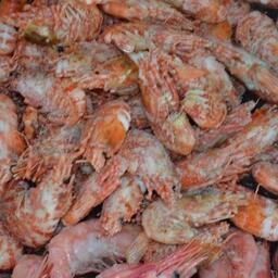 Варено-мороженая гренландская креветка