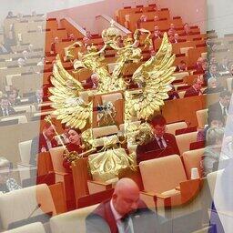 Резонансный законопроект 20 декабря был принят Госдумой сразу во втором и третьем чтениях.. Фото пресс-службы ГД