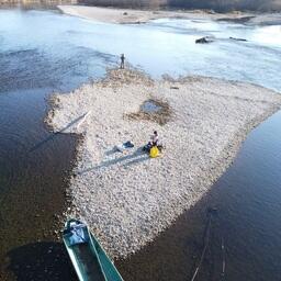 Обследование нерестилищ реки Анюй, октябрь 2022 г. Фото с сайта ХабаровскНИРО