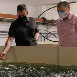 На форелевом хозяйстве в Няндомском районе губернатор Александр ЦЫБУЛЬСКИЙ (справа) побывал в июле прошлого года. Фото пресс-центра правительства области