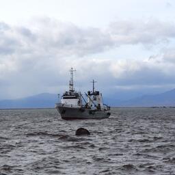 Промысловый журнал переведут в электронную форму