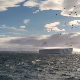 Исследования велись в антарктической части Атлантического океана. Фото пресс-службы ИнБЮМ