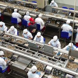 В числе участников проекта рыбокомбинат «За Родину»