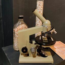 Тематическая образовательная программа музея будет доступна для участия до 30 апреля. Фото пресс-службы регионального минкульта