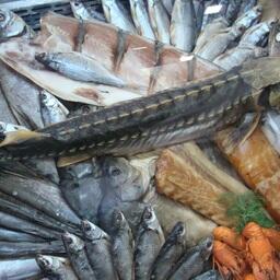 Минсельхоз готовится переиздать важный для производителей и участников оборота продукции животного происхождения документ — правила ветеринарной сертификации