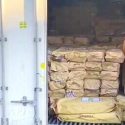 Фигуранту инкриминируют незаконный вывоз около 80 тонн нерки. Фото пресс-службы УТ МВД России по ДФО